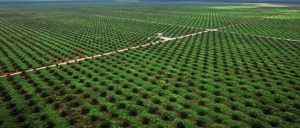 DPRD Kutai Barat: Dapil III Butuh Program Konkret untuk Petani dan Tenaga Kerja Lokal